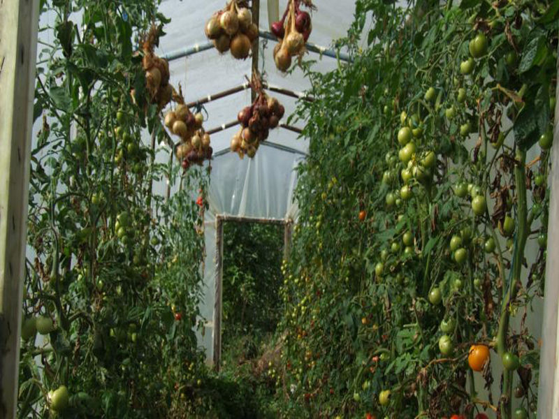 Dawn House B&B Kilmeaden Ngoại thất bức ảnh
